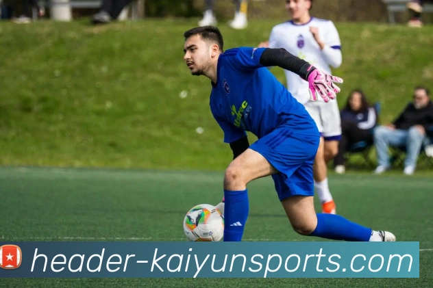 开云体育APP 封面图